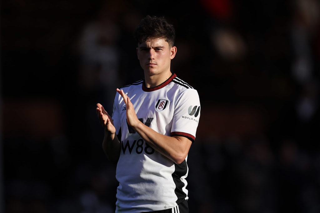 Fulham FC v Newcastle United - Premier League