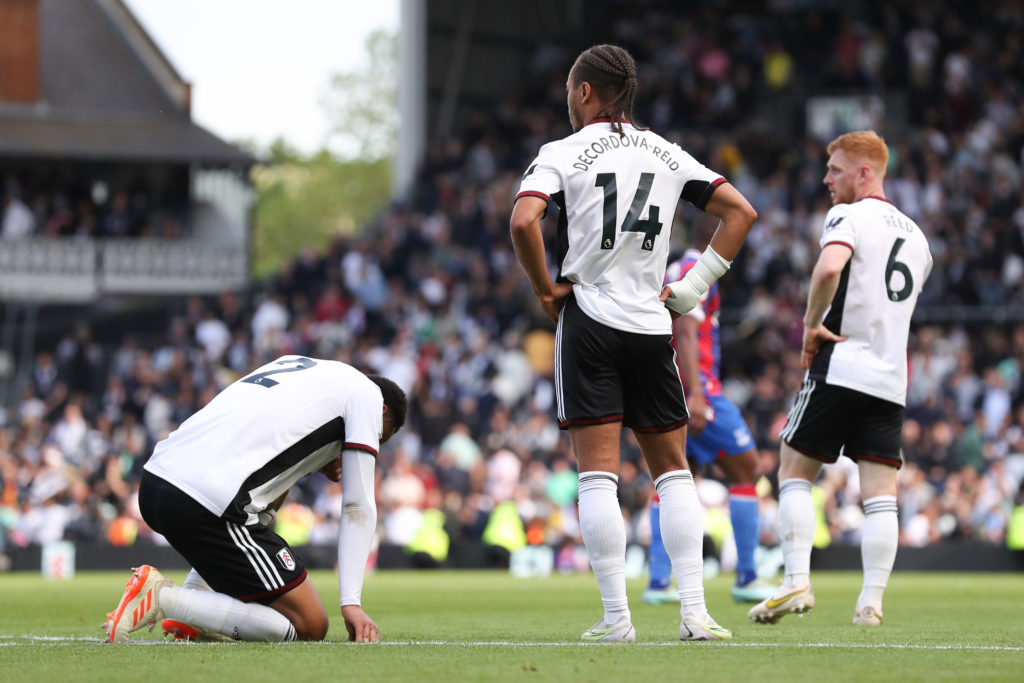 Fulham FC v Crystal Palace - Premier League