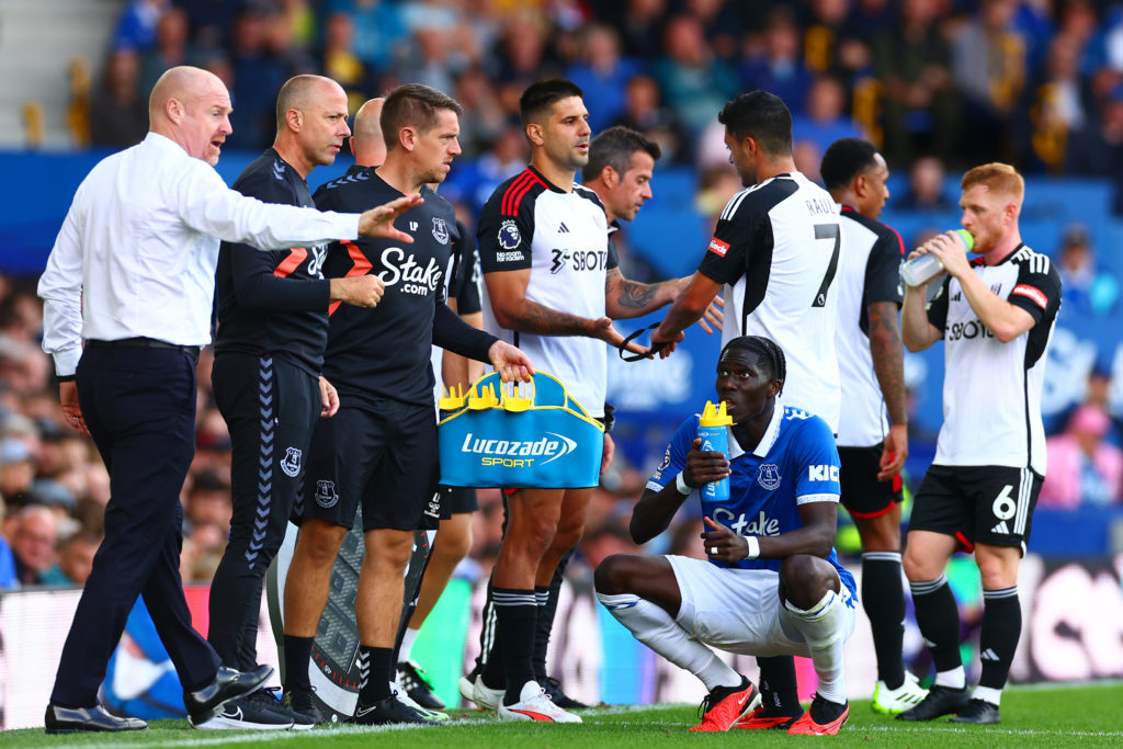 Everton FC v Fulham FC - Premier League