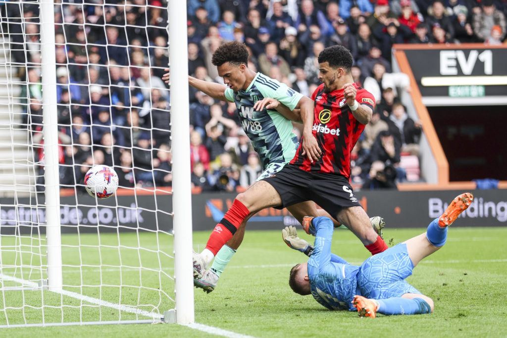 AFC Bournemouth v Fulham FC - Premier League