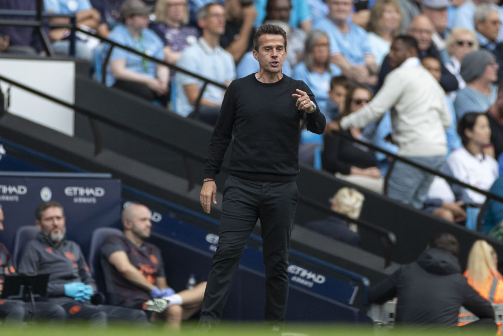 Manchester City v Fulham FC - Premier League