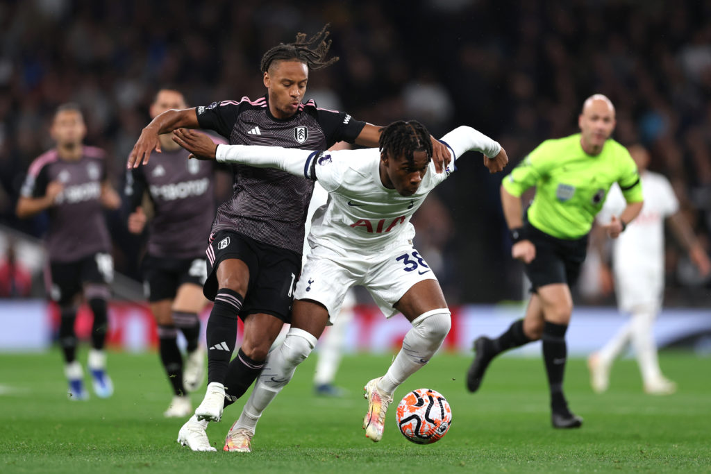 Tottenham Hotspur v Fulham FC - Premier League
