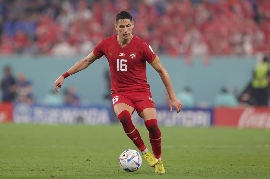 Sasa Lukic of Serbia in action during the FIFA World Cup