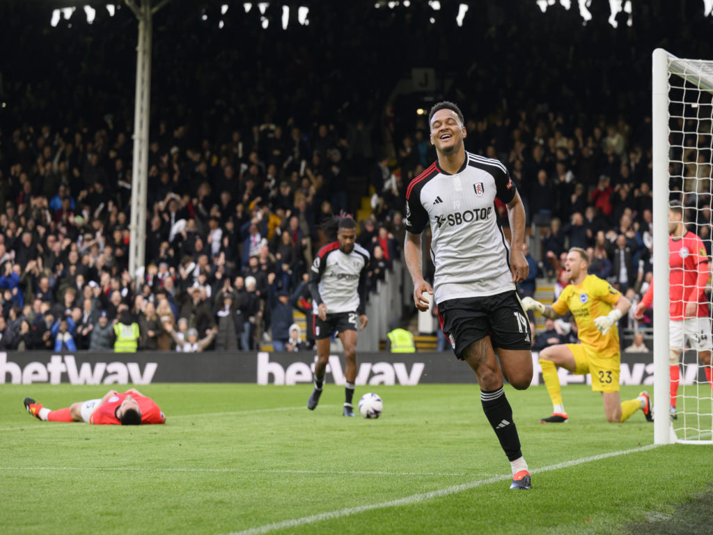 Fulham FC v Brighton & Hove Albion - Premier League