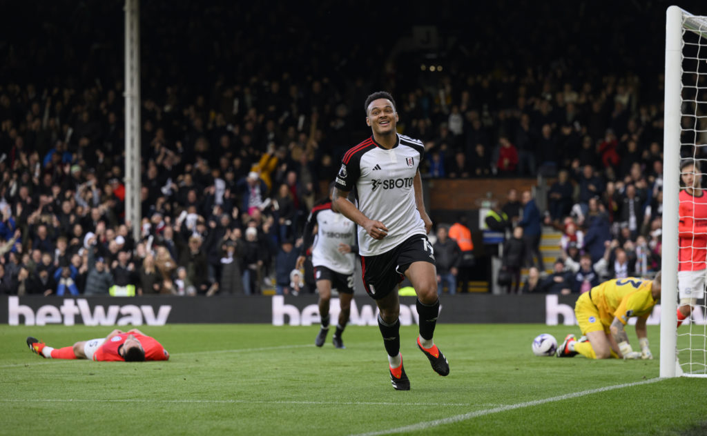 Fulham FC v Brighton & Hove Albion - Premier League