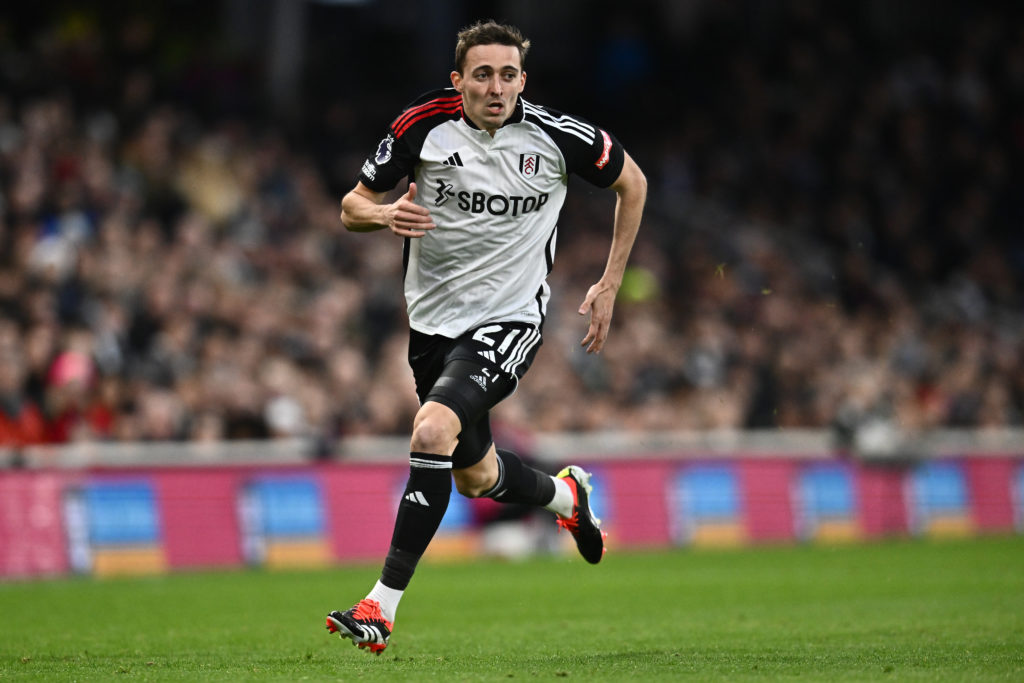 Fulham FC v Tottenham Hotspur - Premier League