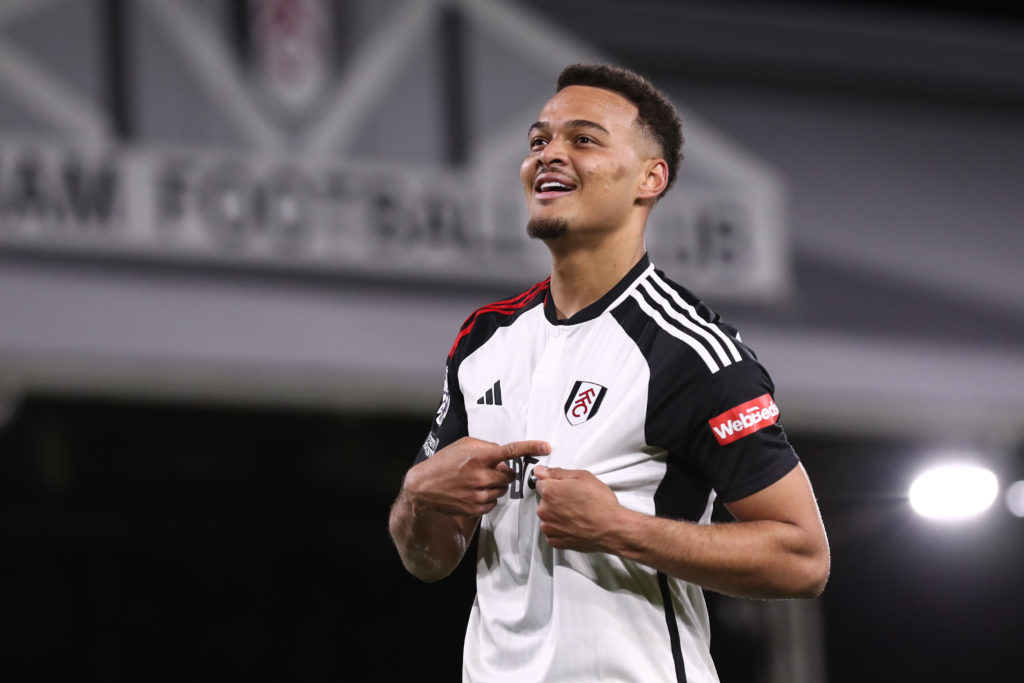 Fulham FC v Tottenham Hotspur - Premier League