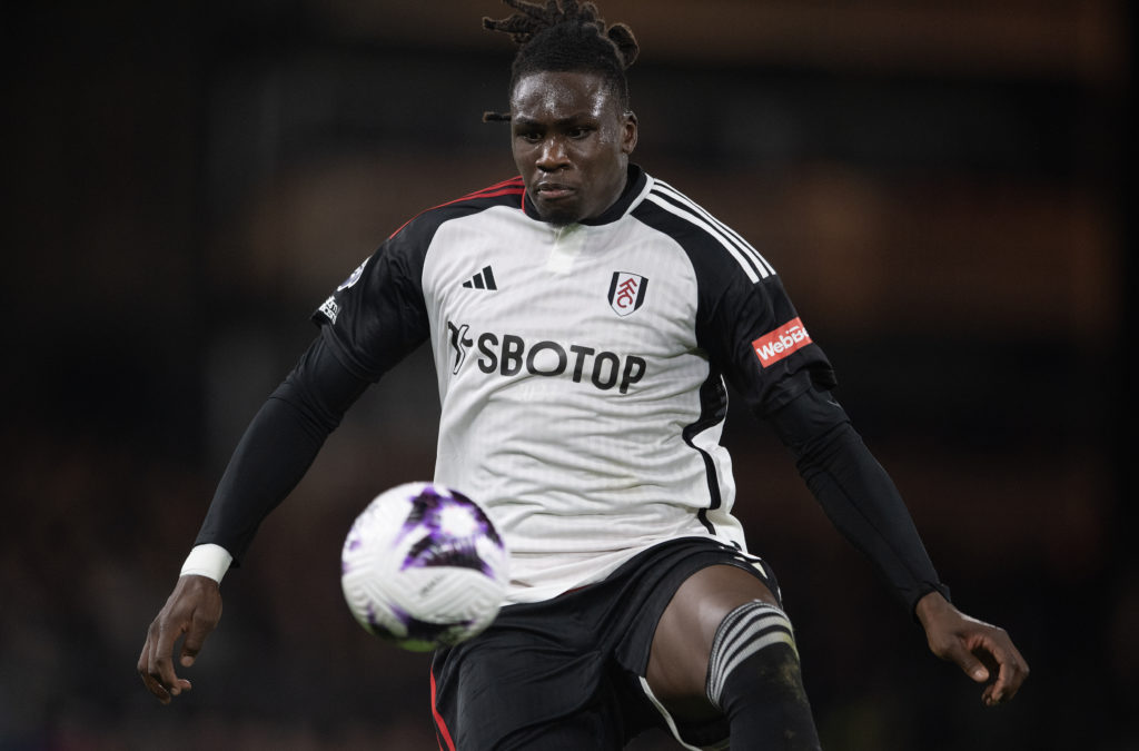 Fulham FC v Tottenham Hotspur - Premier League